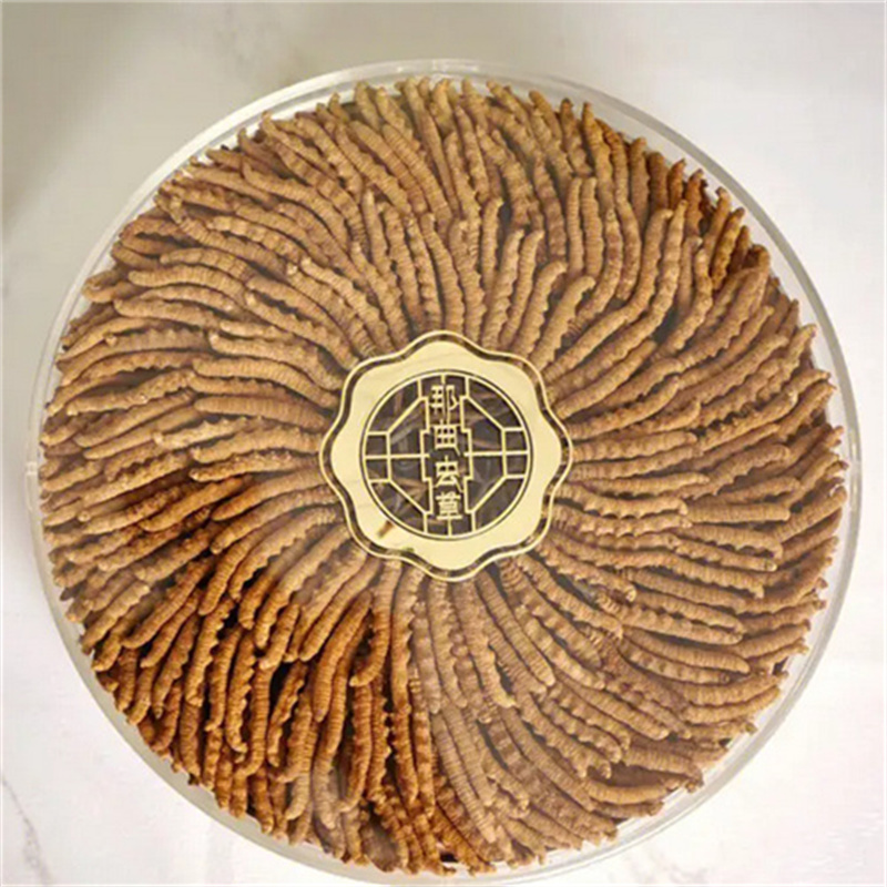 成都虫草回收哪里有