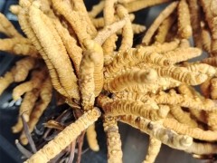 郫都****回收指南，专业、便捷又环保