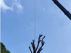 吊车租赁的时长对费用影响有多大？