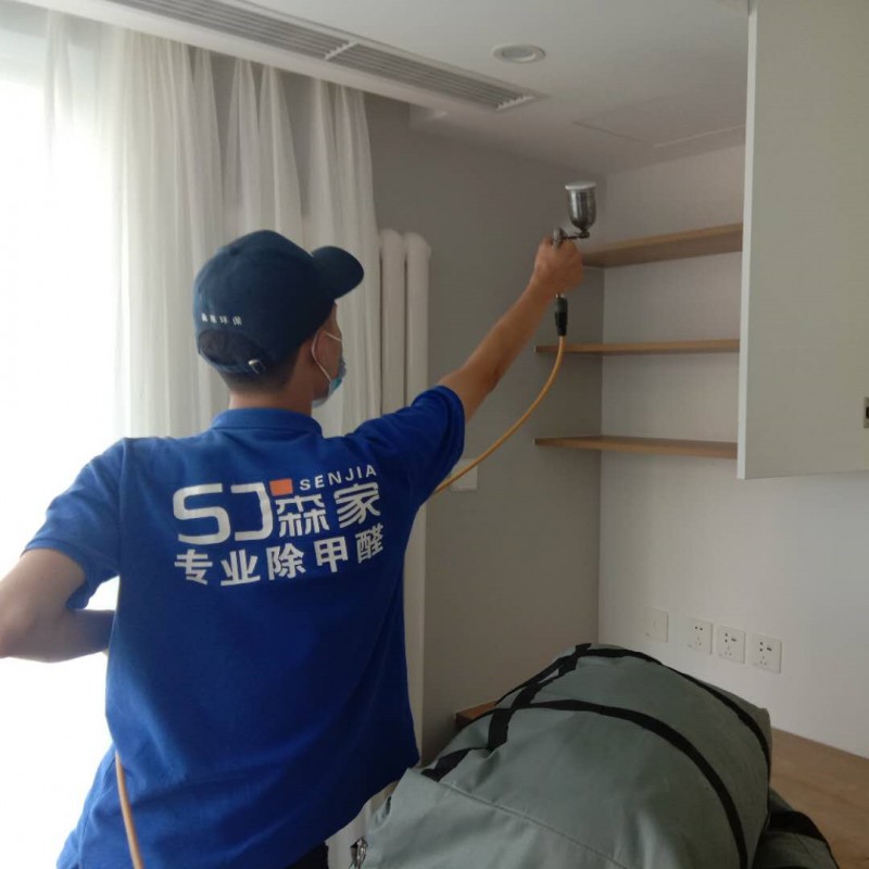 阳新县专业甲醛检测治理公司