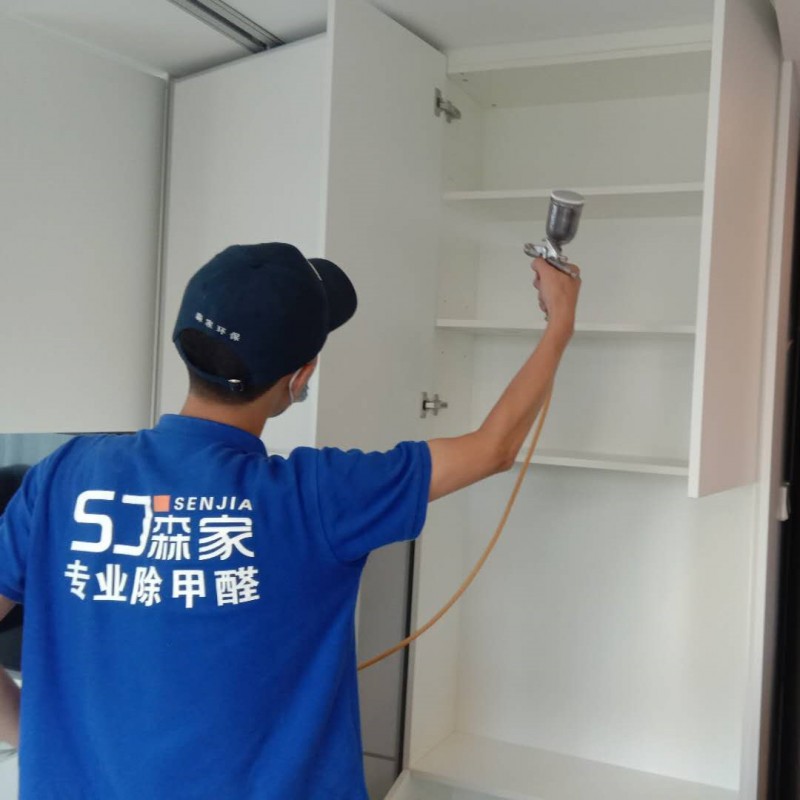 阳新县除甲醛公司谁家好，阳新县专业除甲醛