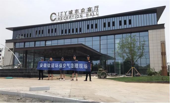 合肥滨湖新区专业甲醛检测治理公司