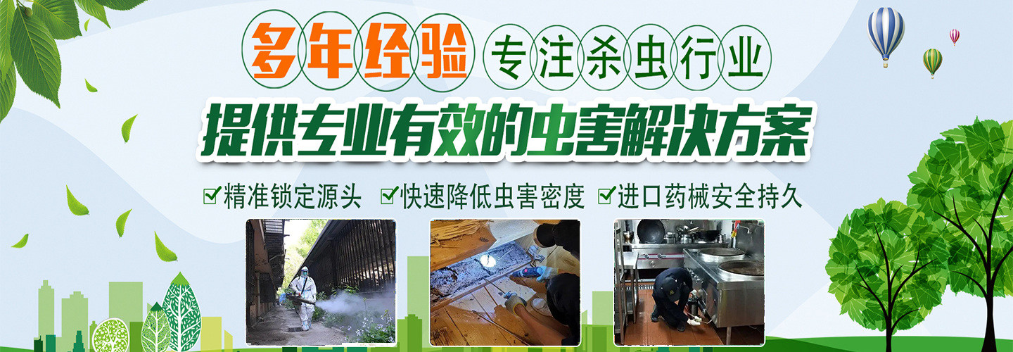 宿州炬丰杀虫灭鼠除四害公司