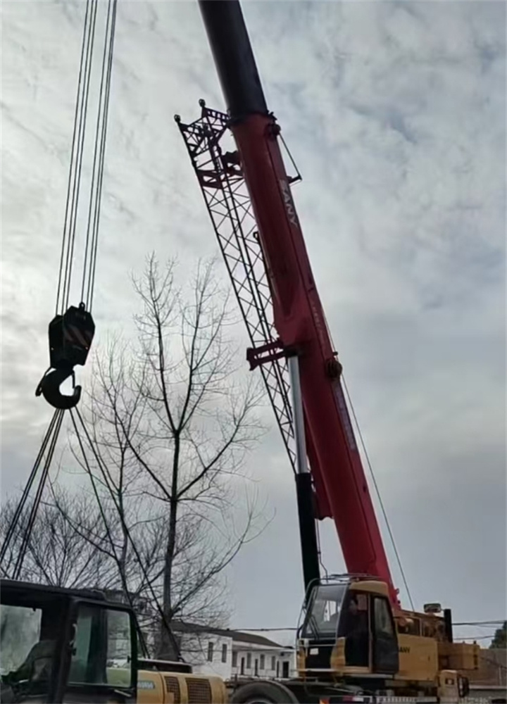 微信截图_20250210184445