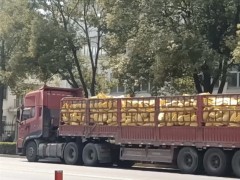 温室种植新宠：有机肥如何助力反季节蔬菜提质增产