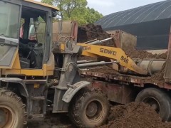 有机肥的隐藏技能：除了施肥，还能治虫防病？！