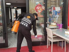 家庭常见害虫防治全攻略：蟑螂、蚊子、蚂蚁的克星在这里