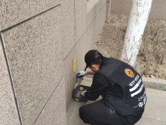 科学灭鼠误区大揭秘：这些方法可能适得其反