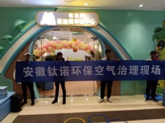 马鞍山除甲醛的时候一般需要遵循哪些原则呢？