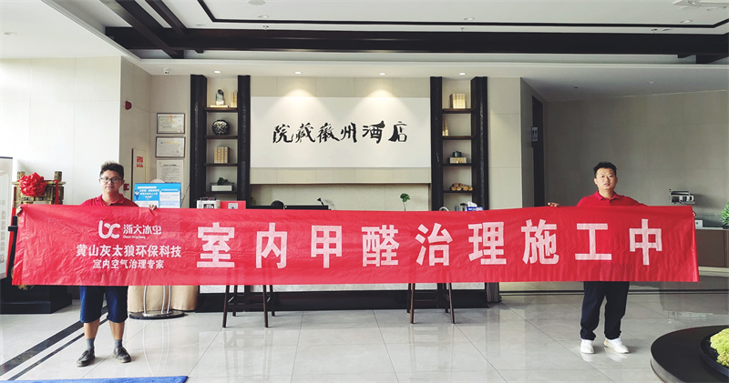 黄山本地甲醛检测治理公司