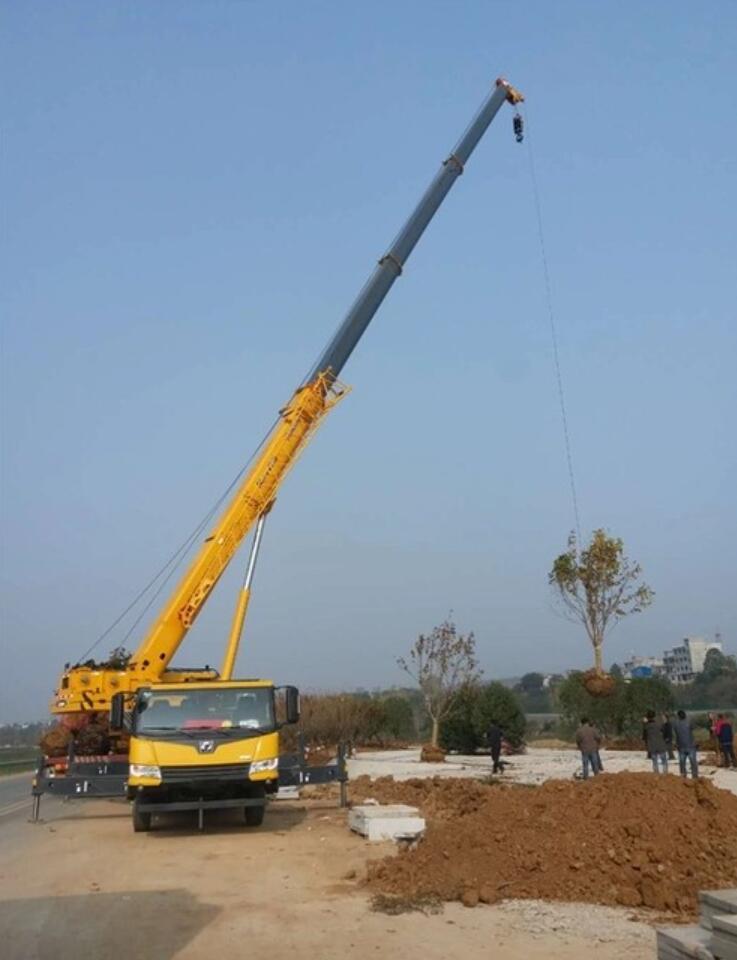 从 “接单到完工”，我们的吊车租赁服务如何做到 “零疏漏”？