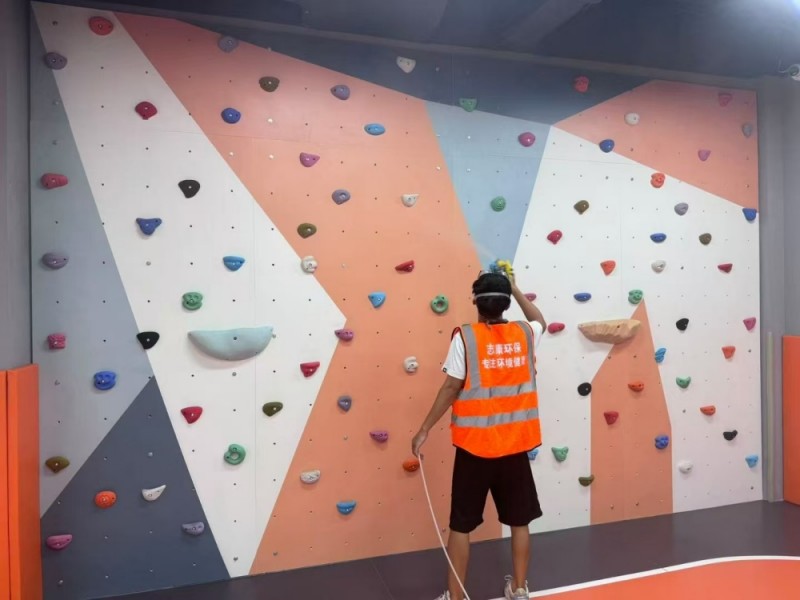 新房摆放绿萝能去除甲醛吗？