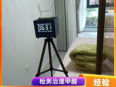 绿植除甲醛有没有效果？屯留除甲醛公司解答