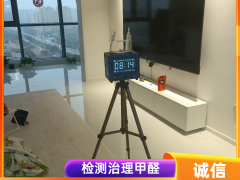 绿植除甲醛有没有效果？屯留除甲醛公司解答