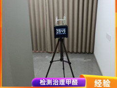 绿植除甲醛有没有效果？屯留除甲醛公司解答