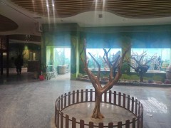 德州除甲醛公司-不同人群入住新房时间也不同