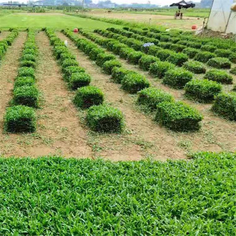 佛山市文武顺发草场有限公司