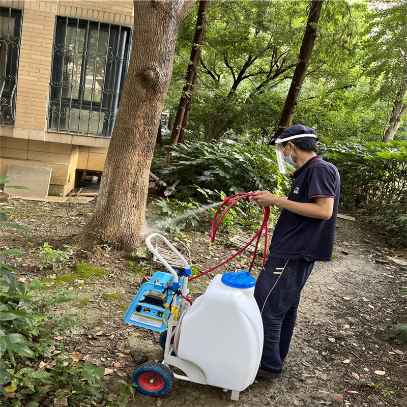 除四害中的“四害”指的是什么