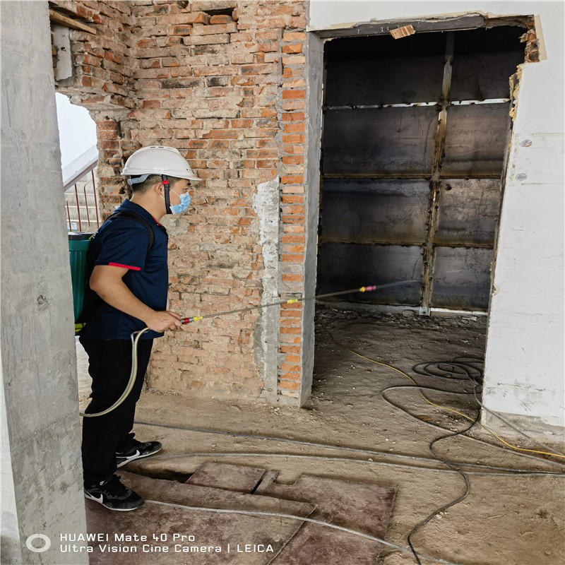 无锡杀蟑螂的注意事项