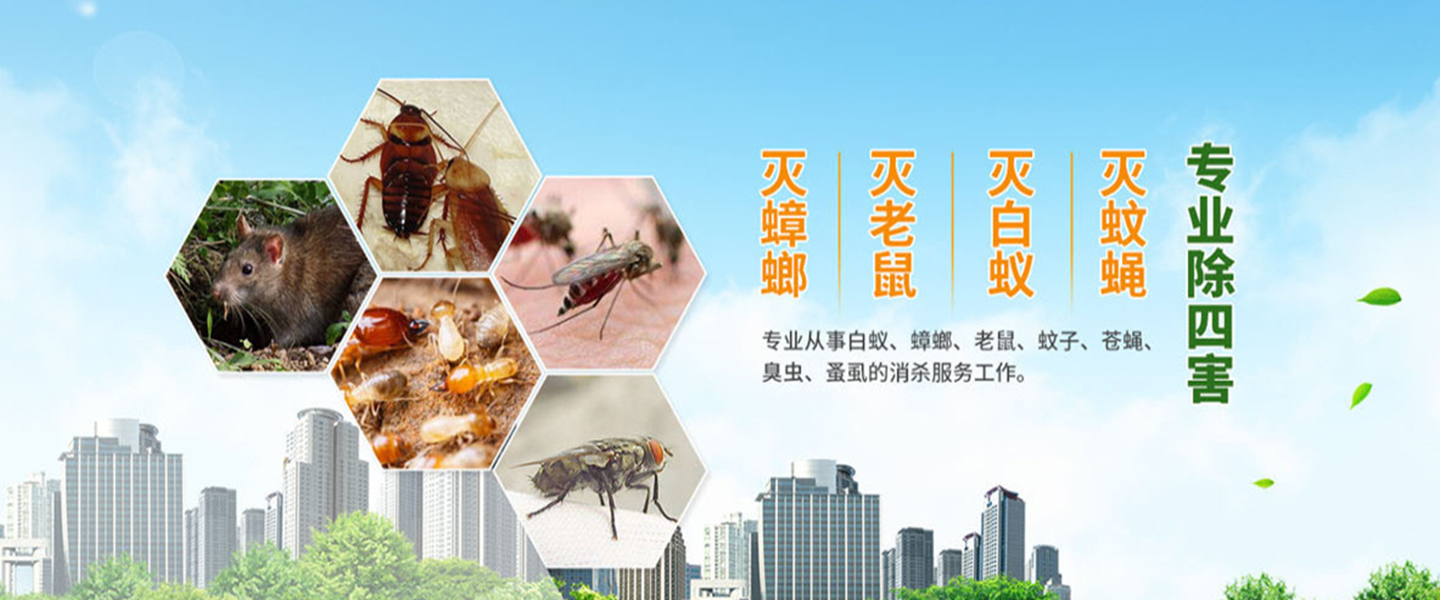 丽水清波杀虫灭鼠公司