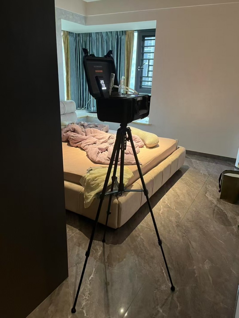 除甲醛公司揭秘植物净化甲醛的真相与常见误区