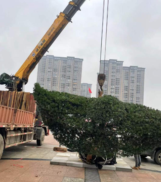 wechat_2025-09-27_142933_681