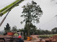 吊车发动机启动困难时该排查哪些关键部件？