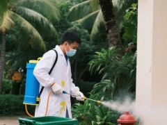 三亚灭白蚁用什么药效果好