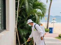 三亚灭白蚁用什么药效果好