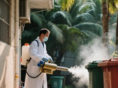 三亚灭白蚁用什么药效果好