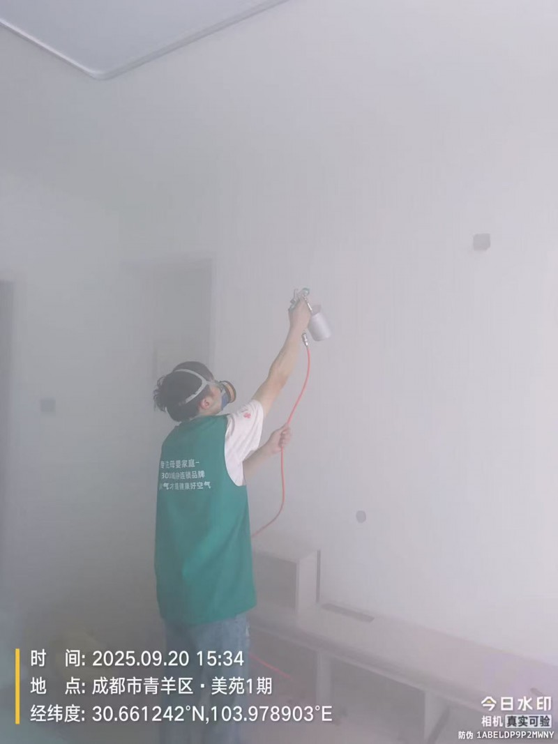 美苑1期室内甲醛治理