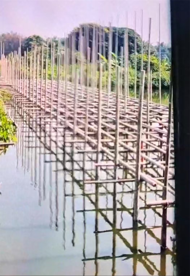 柳州养殖场棚搭建，为牲畜遮风挡雨