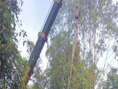 同样是25吨吊车，三节臂和五节臂的价格差在哪？