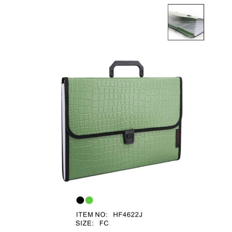 Expanding Files HF4622J