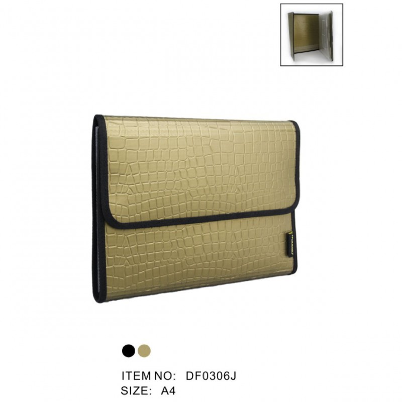 Expanding Files DF0306J