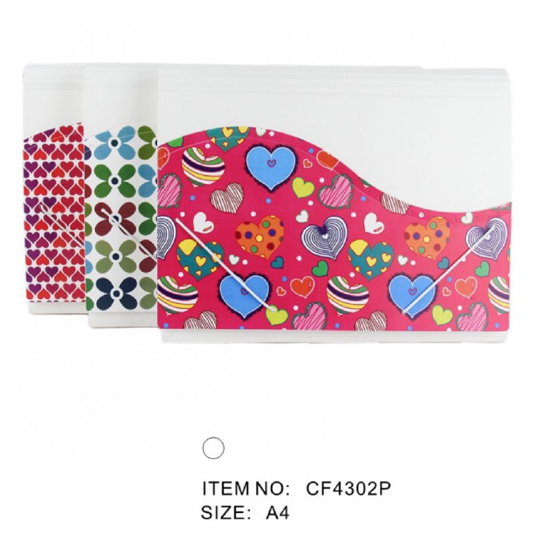 Expanding Files CF4302P