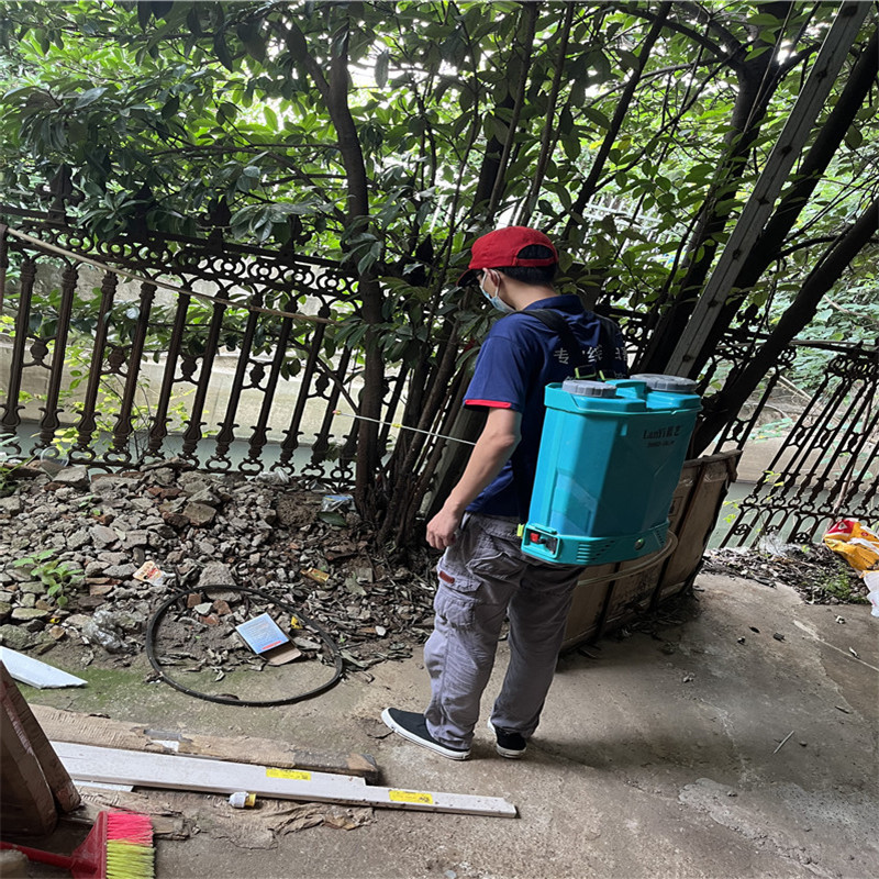 无锡白蚁克星来，房屋安全有依赖