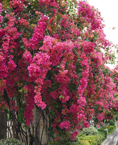 ScreenShot_2026-01-13_133957_538