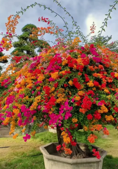 ScreenShot_2026-01-13_134116_302