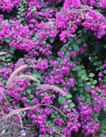 ScreenShot_2026-01-13_134400_281