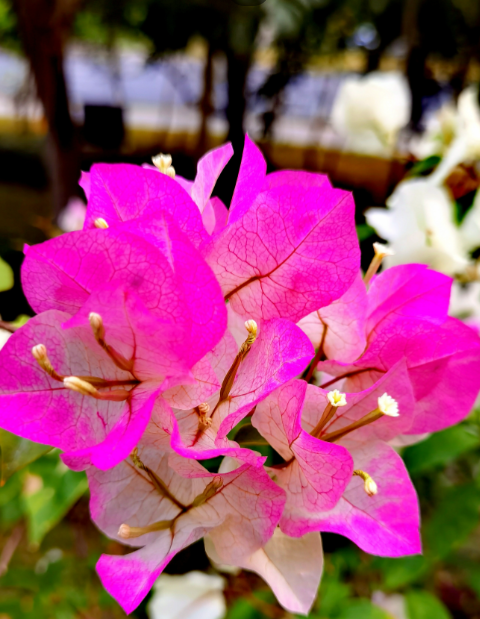 ScreenShot_2026-01-13_134514_152