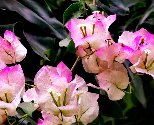 ScreenShot_2026-01-13_134752_002