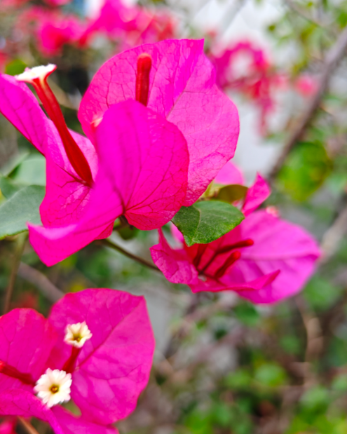 ScreenShot_2026-01-13_151322_221