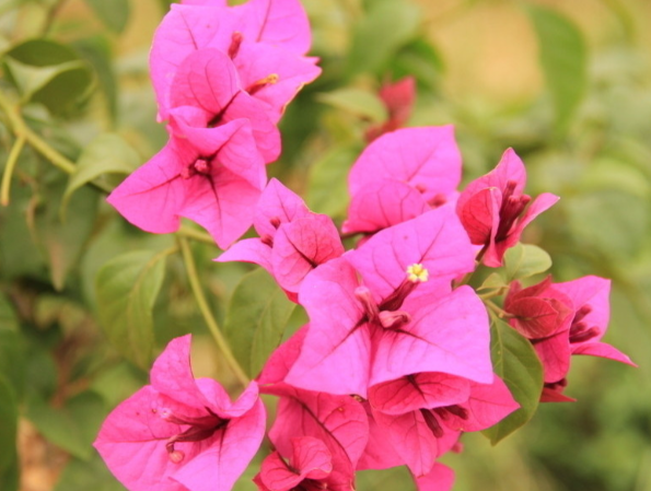 ScreenShot_2026-01-13_153210_192