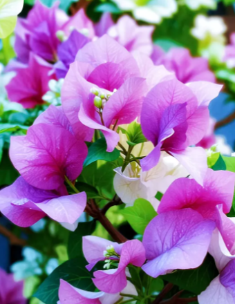 ScreenShot_2026-01-13_160900_757