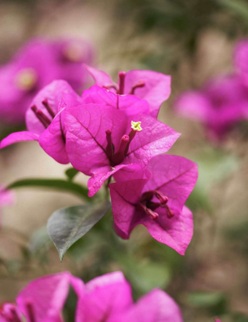 ScreenShot_2026-01-13_161024_127