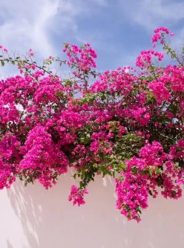 ScreenShot_2026-01-13_161155_746