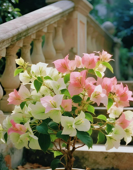 ScreenShot_2026-01-13_161510_608