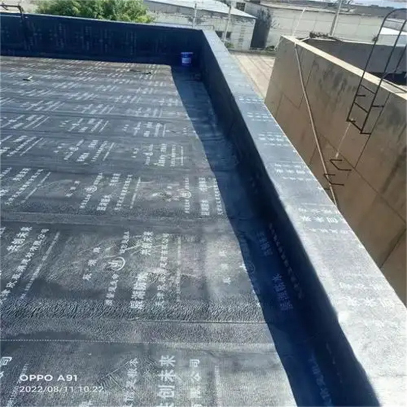 重庆屋面防水，守护家园免受雨水侵扰