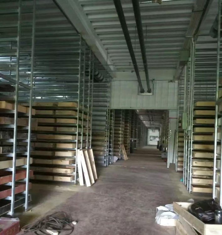 黄粉虫（面包虫）：你不知道的高蛋白昆虫